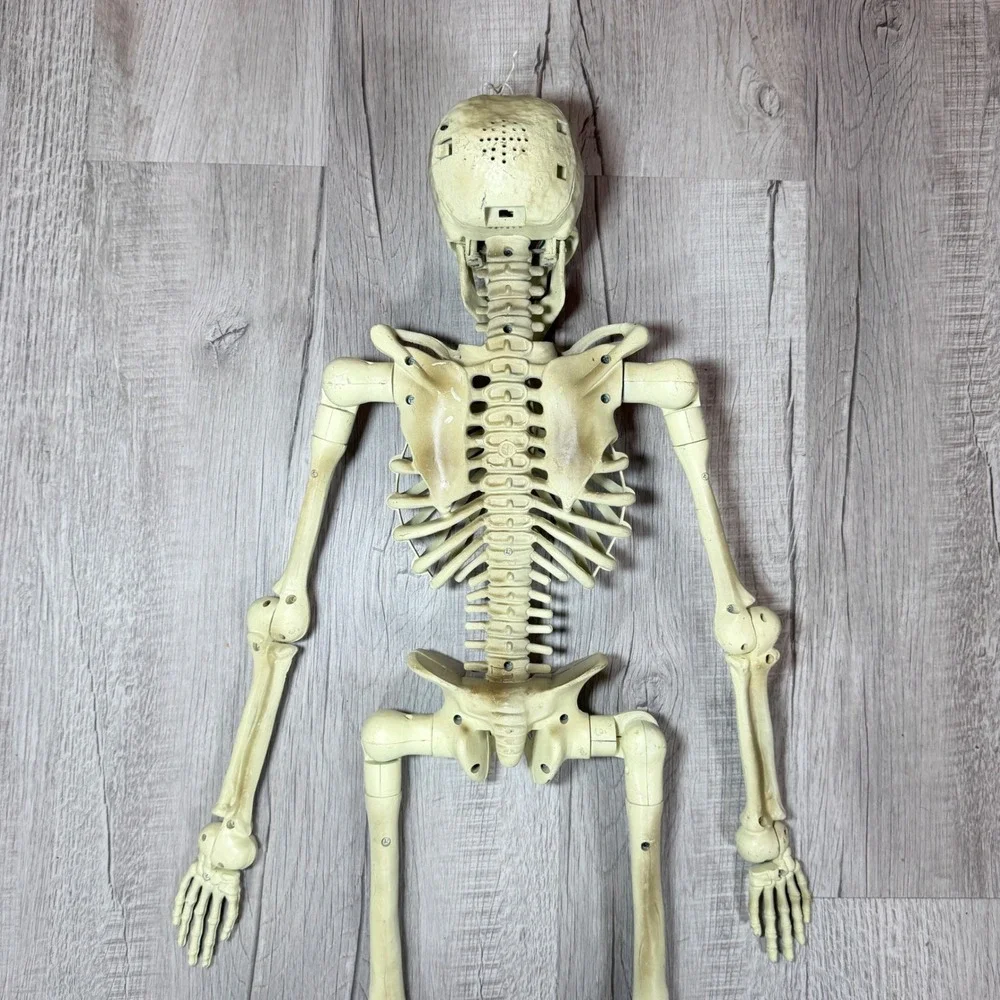 Gemmy Wisecrack Jack Skeleton Talking Pop Out Eyes Prop - As-Is For Parts